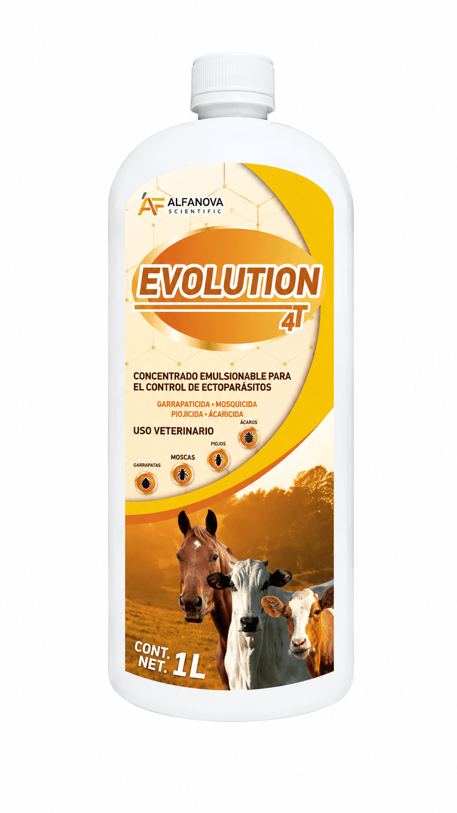 EVOLUTION 4T